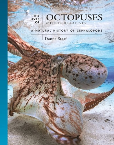 Lives of Octopuses and their relatives