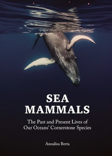 Sea mammals