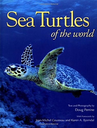 Sea Turtles of the world