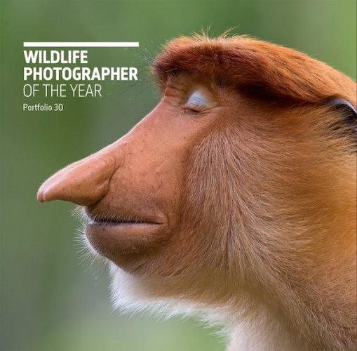 Wildlife photographer of the year - portfolio 30