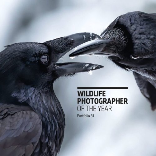 Wildlife photographer of the year - portfolio 31