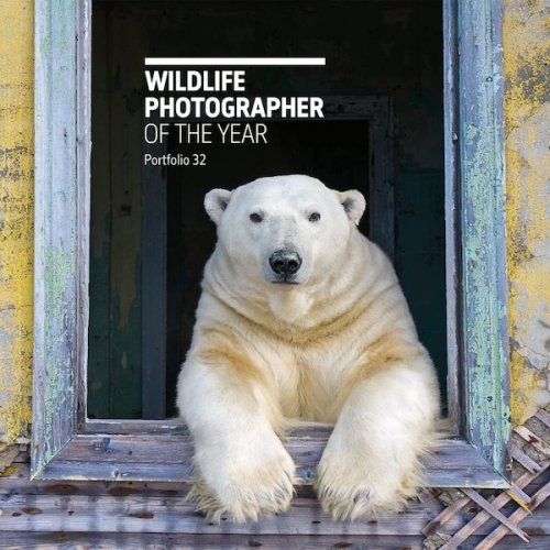 Wildlife photographer of the year - portfolio 32