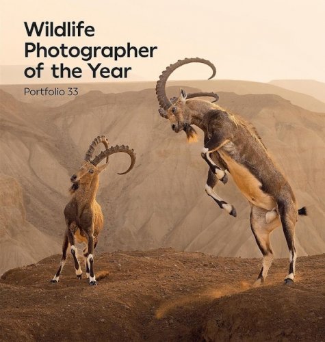 Wildlife photographer of the year - portfolio 33