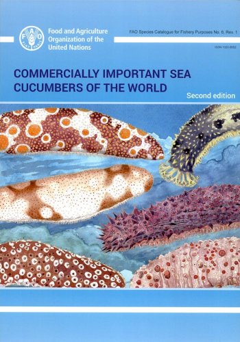 Commercially important sea cucumbers of the world