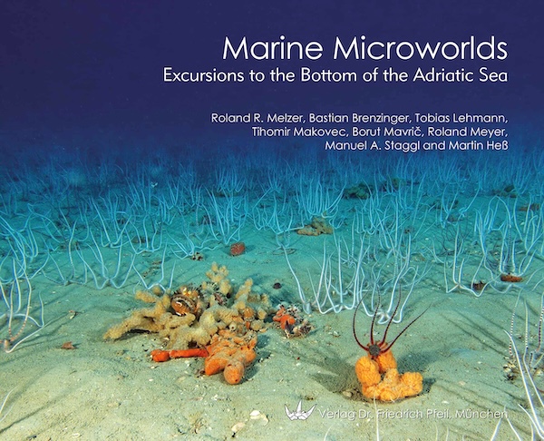 Marine microworlds