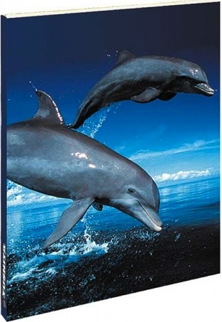Blank book delfini