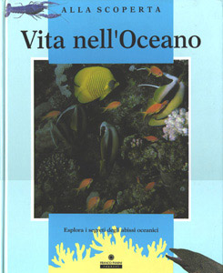 Vita nell'oceano