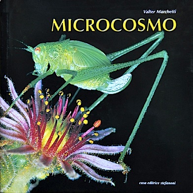 Microcosmo