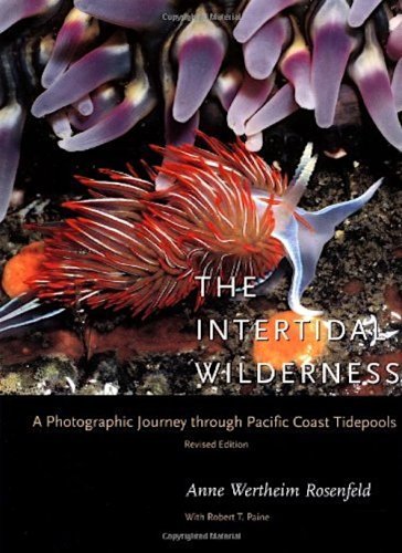 Intertidal wilderness