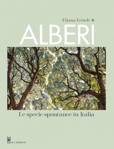 Alberi