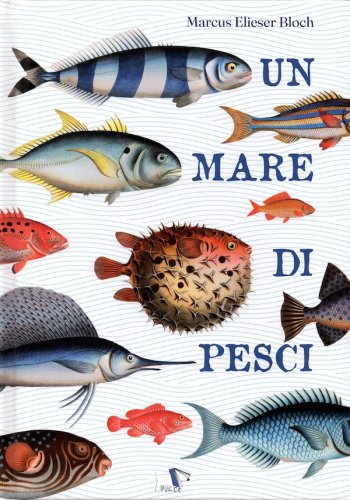 Mare di pesci