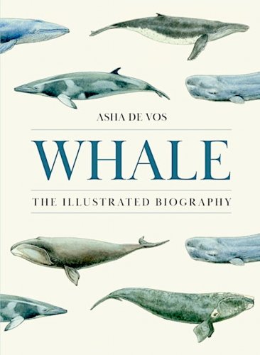 Whale
