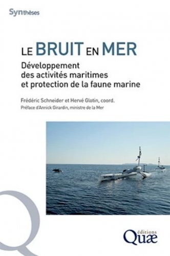 Bruit en mer