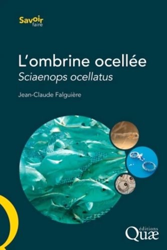 Ombrine ocellée - sciaenops ocellatus