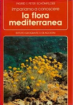 Flora mediterranea