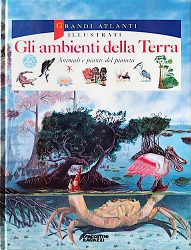 Ambienti della terra