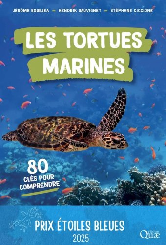 Tortues marines