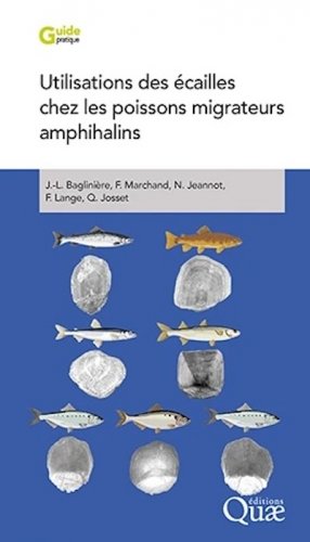 Utilisations des écailles chez les poissons migrateurs amphihalins