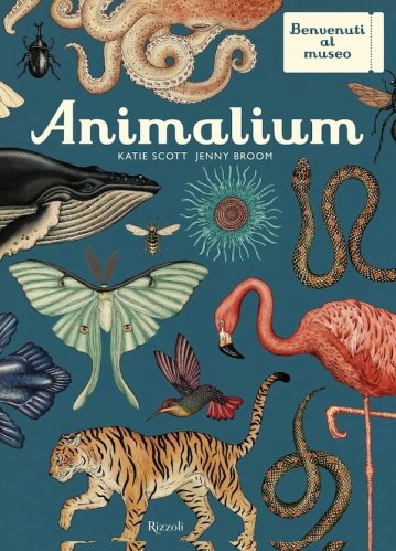 Animalium