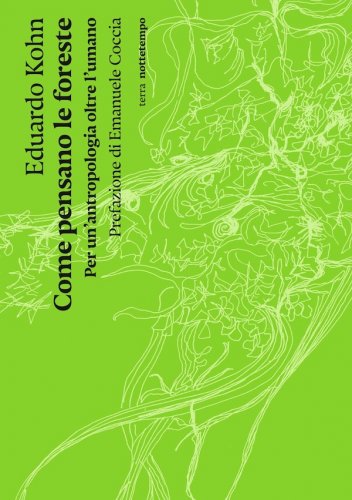 Come pensano le foreste