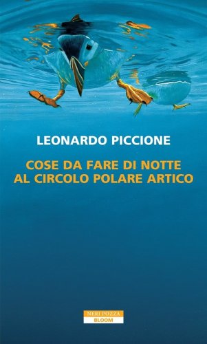 Cose da fare di notte al Circolo Polare Artico