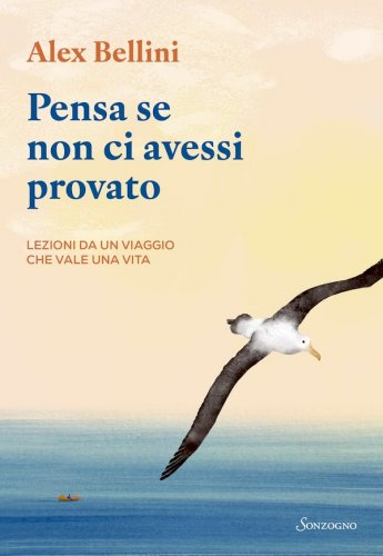 Pensa se non ci avessi provato