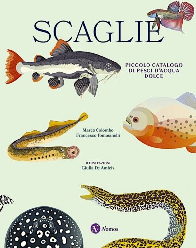 Scaglie