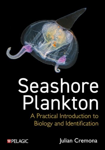 Seashore plankton