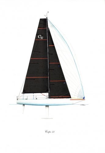 Cape 31