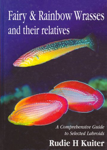 Fairy and Rainbow Wrasses and their relatives