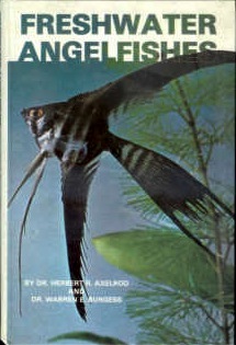 Freshwater angelfishes