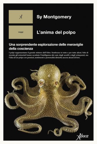 Anima di un polpo