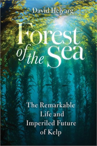 Forest of the sea