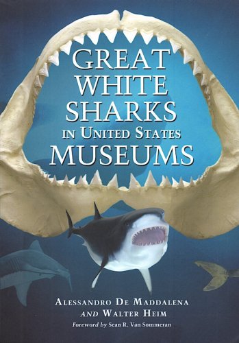 Great white sharks in United States museums