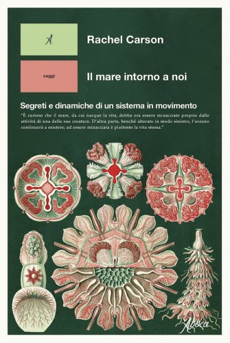 Mare intorno a noi