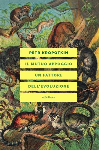 Mutuo appoggio