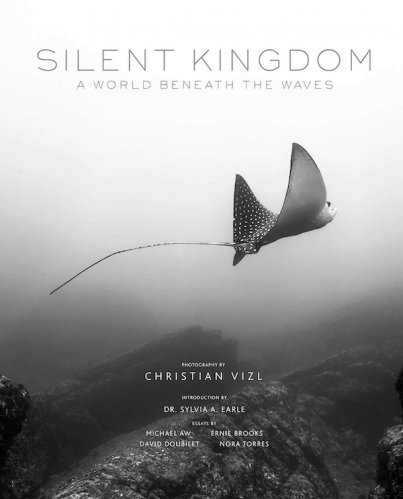 Silent kingdom