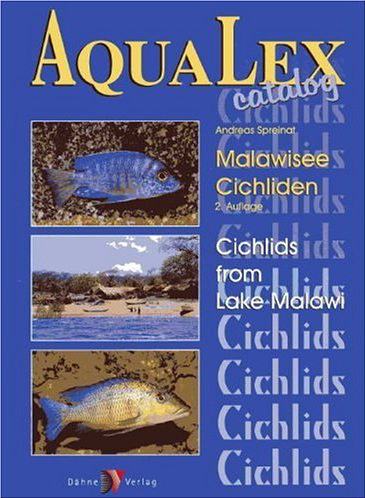 Cichlids from Lake Malawi