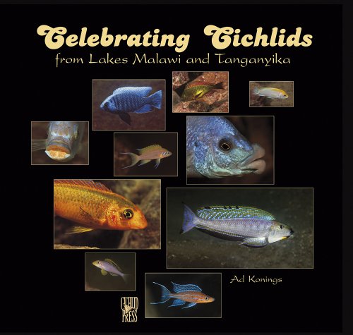 Celebrating cichlids from Lakes Malawi and Tanganyika