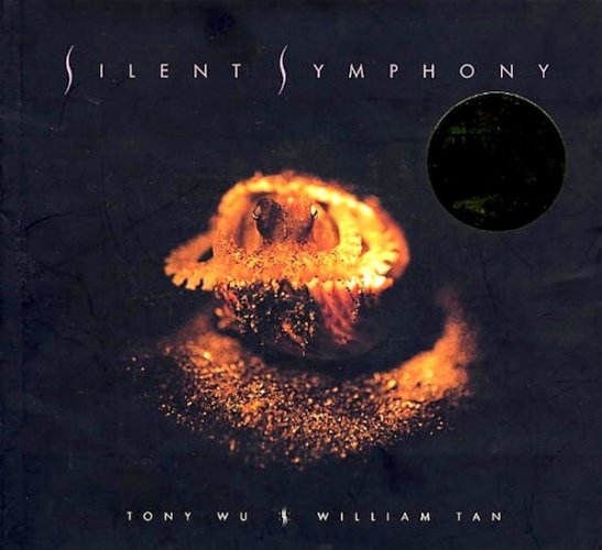 Silent symphony