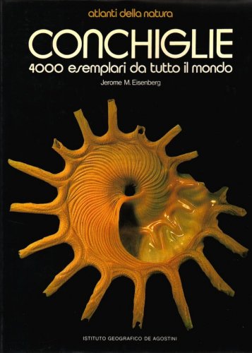 Conchiglie