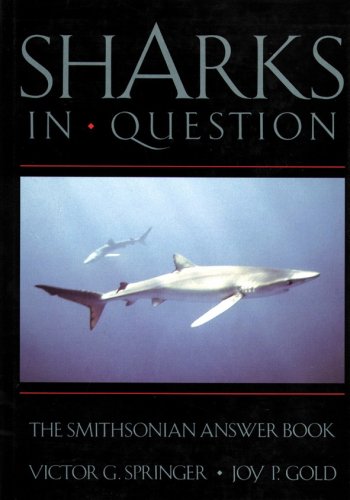 Sharks in question