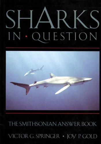 Sharks in question