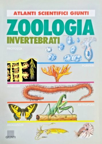 Zoologia invertebrati