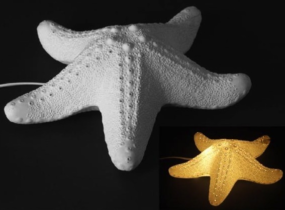 Lampada stella marina in porcellana bianca