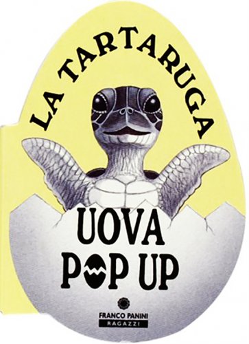 Tartaruga uova pop up