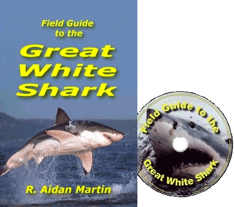 Field guide to the great white shark