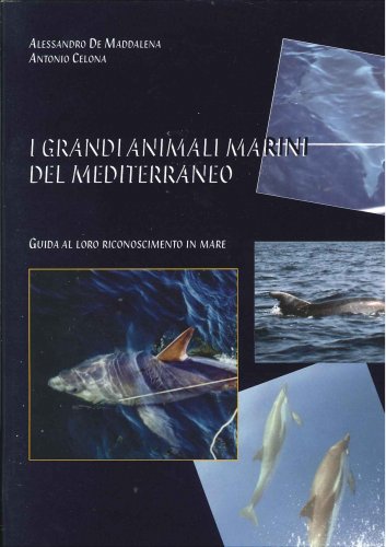 Grandi animali marini del Mediterraneo