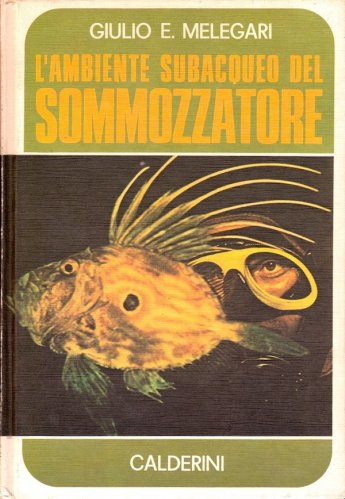 Ambiente subacqueo del sommozzatore