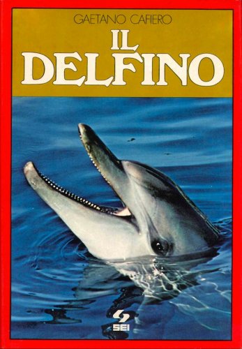 Delfino